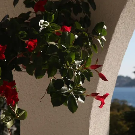 One Bedroom With Balcony Srima